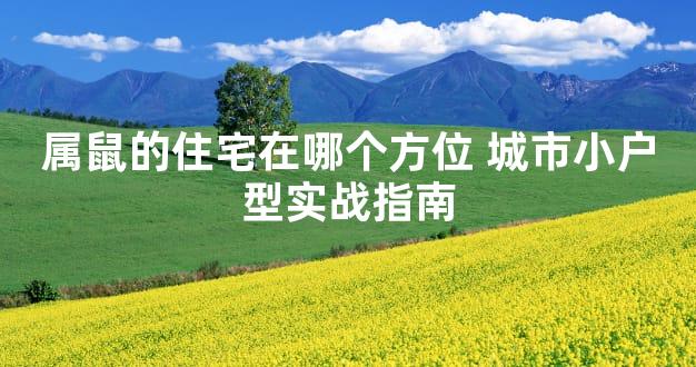 属鼠的住宅在哪个方位 城市小户型实战指南